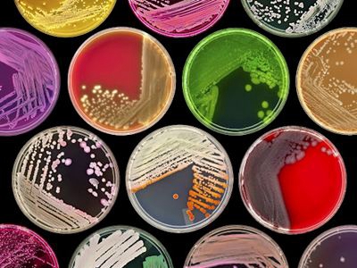 6431608002834673.jpg 15922102852.jpg